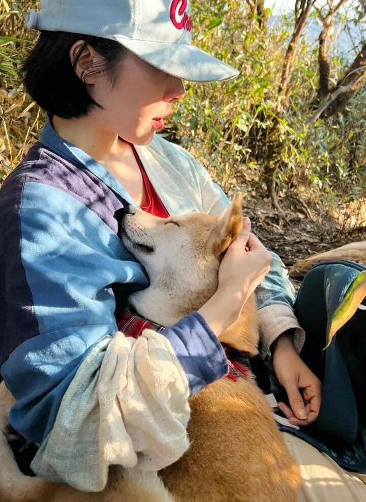 Chú chó thành idol mạng nhờ chinh phục 7 ngọn núi khó trèo ở Việt Nam-14