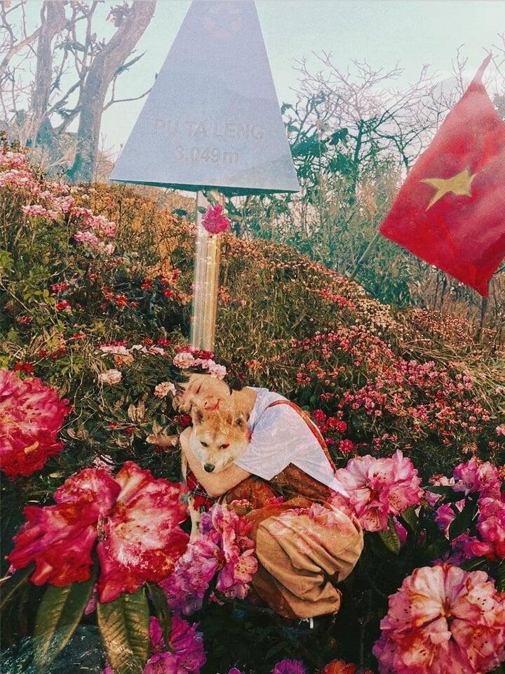 Chú chó thành idol mạng nhờ chinh phục 7 ngọn núi khó trèo ở Việt Nam-6