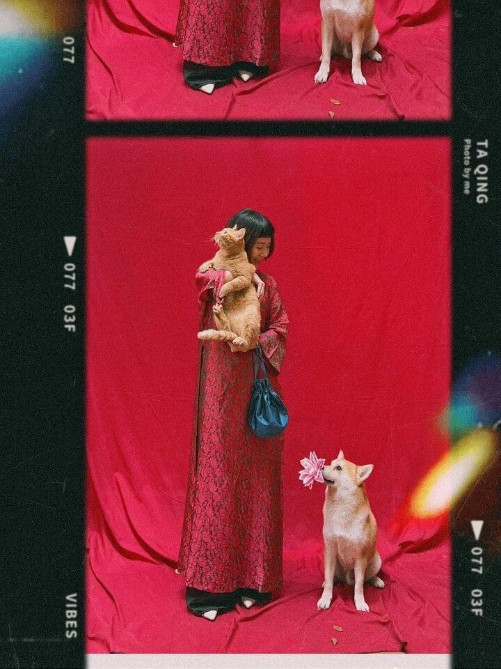 Chú chó thành idol mạng nhờ chinh phục 7 ngọn núi khó trèo ở Việt Nam-9