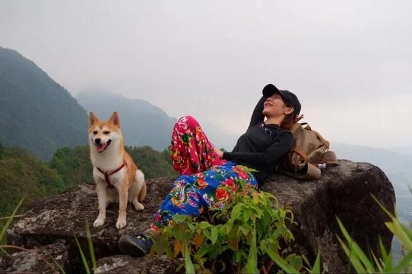 Chú chó chui ra khỏi nấm mồ, tìm đường về nhà khiến nhiều người kinh ngạc-2