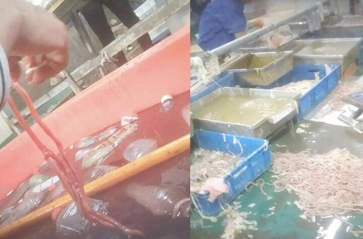 Ghê rợn cảnh làm lòng vịt, ngỗng phục vụ cửa hàng lẩu ở Trung Quốc-2