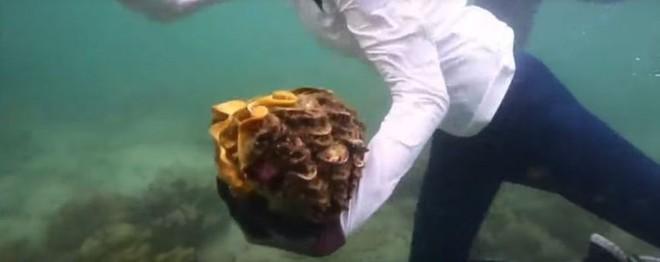 Mỹ nhân suýt phải ngồi tù 4 năm chỉ vì ham ăn, thành công lớn nhất sự nghiệp là yêu người đáng tuổi bố-5