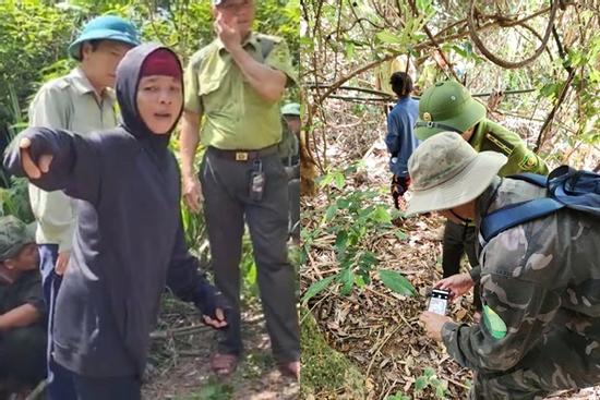 Nghi vấn hổ xuất hiện tại Quảng Bình: Hổ lớn có vằn đen lẫn đỏ hung