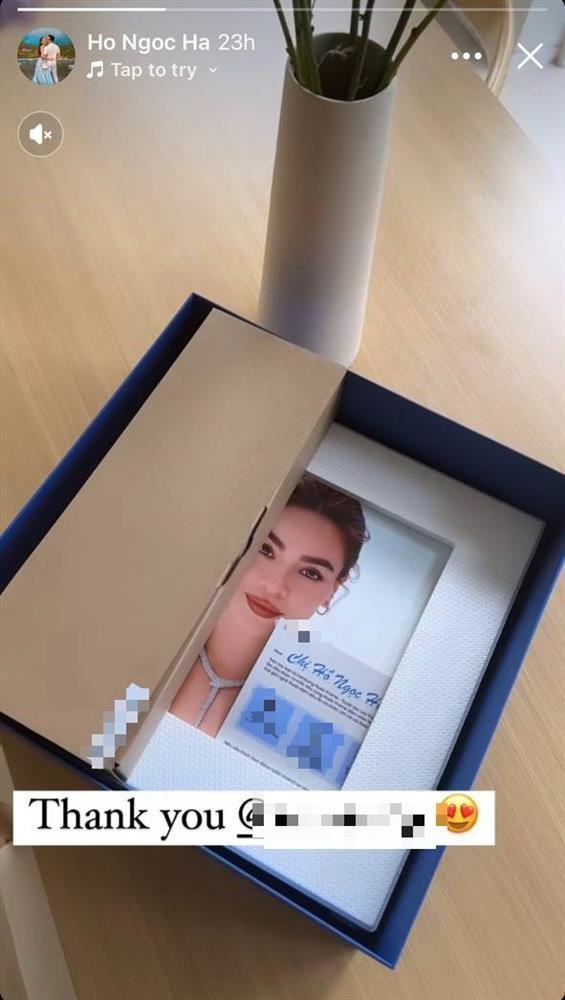 Netizen tranh cãi tin đồn Thanh Hằng mất hợp đồng quảng cáo vào tay Hồ Ngọc Hà-1