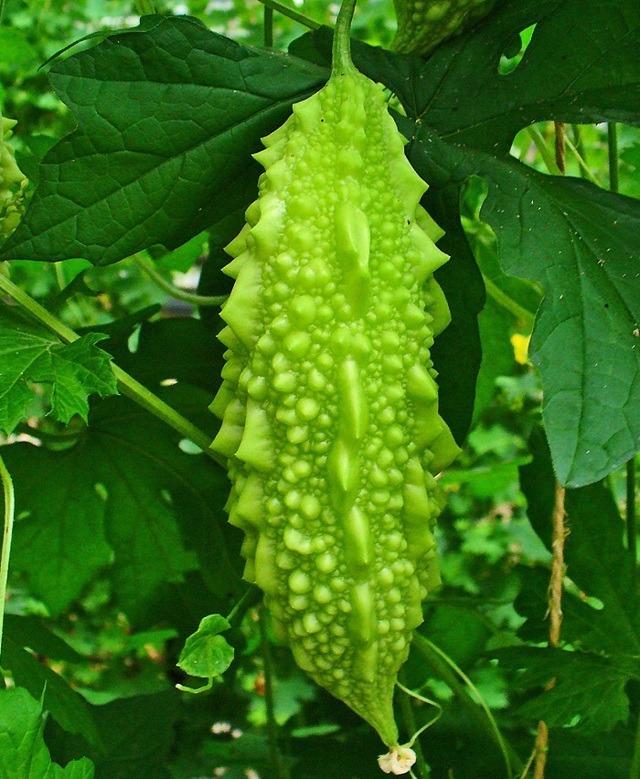 Rằm tháng 5 âm và 5 ngày cửu độc còn lại của tháng 5 âm lịch, cần làm 2 việc tránh xui rủi, đón may mắn-2