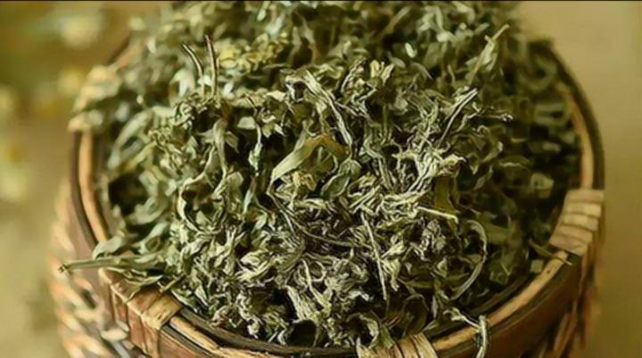 Lá ngải cứu phơi khô có những công dụng tuyệt vời gì?-1