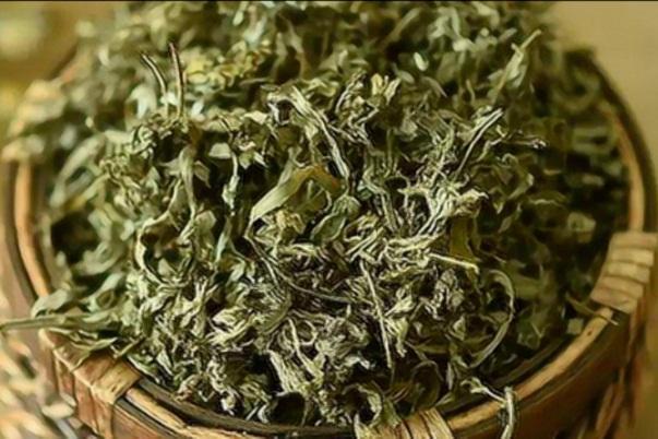 Loại cây mọc dại góc vườn được mệnh danh ‘vua’ thảo dược-1