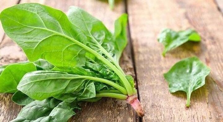 Ăn một mớ rau này tốt ngang nhân sâm, giá rẻ như cho-2