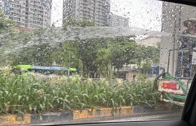 Xác minh thông tin công nhân phun nước tưới cây giữa trời mưa to ở Hà Nội-1