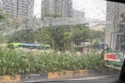 Xác minh thông tin công nhân phun nước tưới cây giữa trời mưa to ở Hà Nội