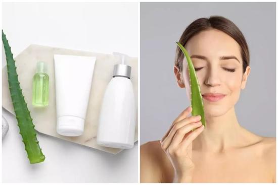 5 lý do nên thêm nha đam vào quy trình chăm sóc da sau tuổi 50