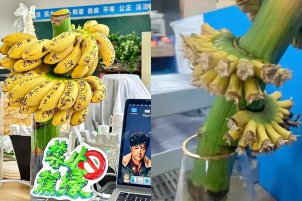 Ngược đời: Chủ tịch 72 tuổi bỏ công việc nghìn tỉ đi làm thần tượng TikTok-6