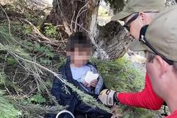 Cảnh bất ngờ dưới gốc cây sau 22 giờ bé 4 tuổi bị lạc trong rừng đầy thú dữ