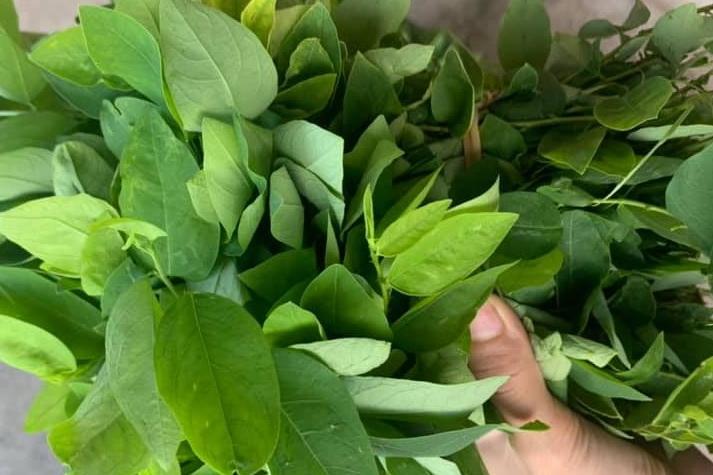 Thực hư đạp xe ảnh hưởng đến sinh lý nữ-2