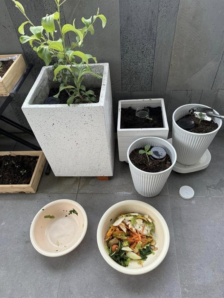 Vợ Phan Mạnh Quỳnh hé lộ điểm đặc biệt trong căn biệt thự biển Nha Trang, chia sẻ kinh nghiệm trồng cây trên sân thượng-13