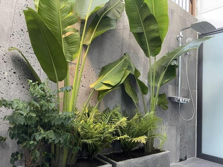 Vợ Phan Mạnh Quỳnh hé lộ điểm đặc biệt trong căn biệt thự biển Nha Trang, chia sẻ kinh nghiệm trồng cây trên sân thượng-8