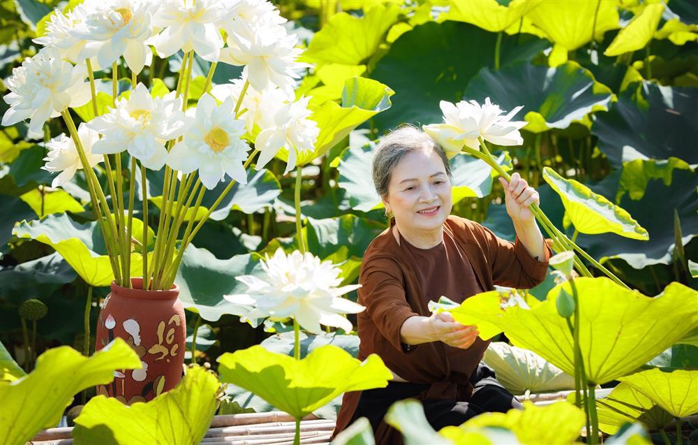 Cụ bà U80 ở Hải Dương chụp ảnh cùng sen khiến dân mạng khen nức nở-6