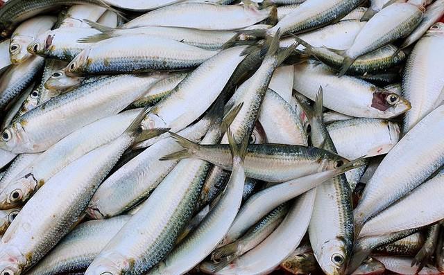 Món ăn là bí quyết sống thọ và ngừa ung thư của người Nhật bán đầy chợ Việt-1