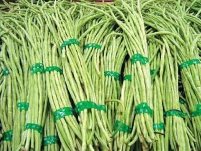 3 loại rau mùa hè ngậm nhiều hóa chất nhất chợ, cái số 1 ít ai hay-2