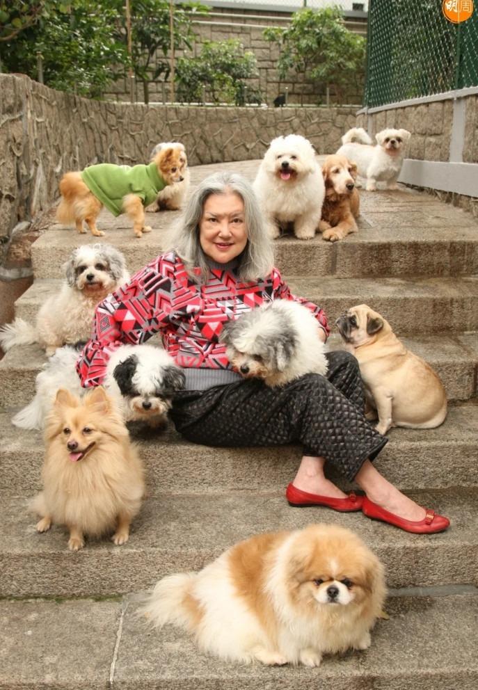 Thiệu Âm Âm biến dạng vì thẩm mỹ, tuổi xế chiều bình yên-7