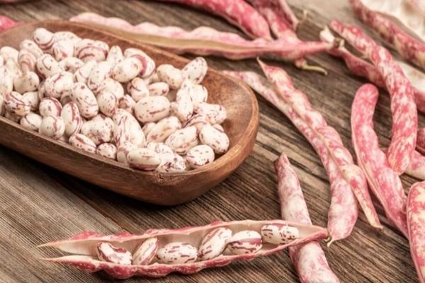 7 lợi ích từ đậu giúp cơ thể khỏe mạnh, chậm lão hóa-1