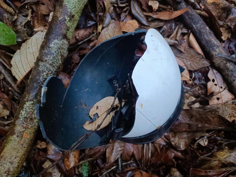 Vào thác K50 tham quan, nữ du khách bị cây đổ đè tử vong-1