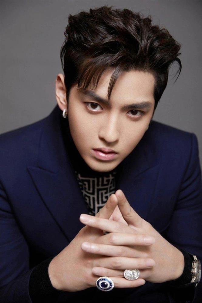 Trong lúc con trai đi tù, mẹ của Ngô Diệc Phàm tẩu tán tài sản khiến nhiều người không khỏi chú ý-3