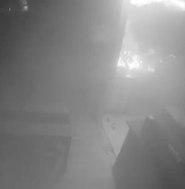 Camera quan sát cho thấy chó cưng tỉnh dậy bật bếp giữa đêm, làm cháy nhà-1