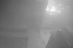 Camera quan sát cho thấy chó cưng tỉnh dậy bật bếp giữa đêm, làm cháy nhà