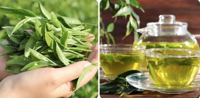 Loại lá rẻ tiền bán đầy chợ Việt, người bệnh tiểu đường nên uống thường xuyên để kéo dài tuổi thọ-2