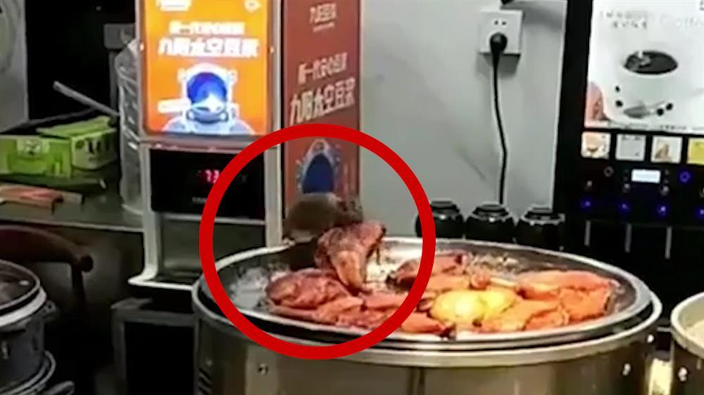 Chuột ngang nhiên gặm đùi vịt quay trên khay đồ ăn bán cho khách-1