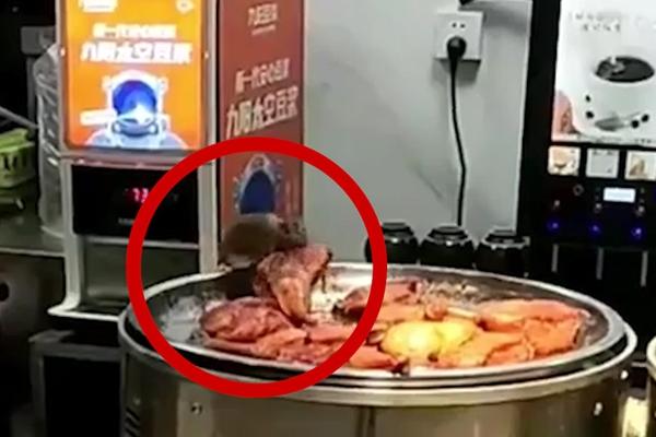 Kinh hãi chuột ‘quần thảo’ khay thức ăn trong quán phở Hà Nội-2