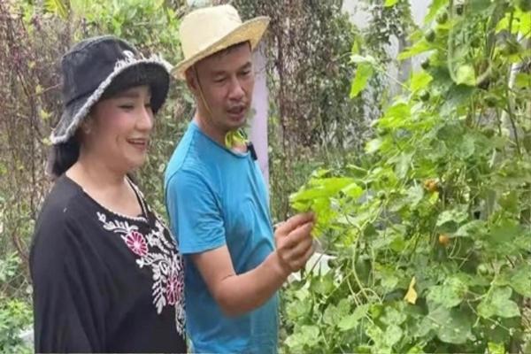 Bỏ phố về quê, Tiết Cương cầm cuốc, làm vườn như nông dân