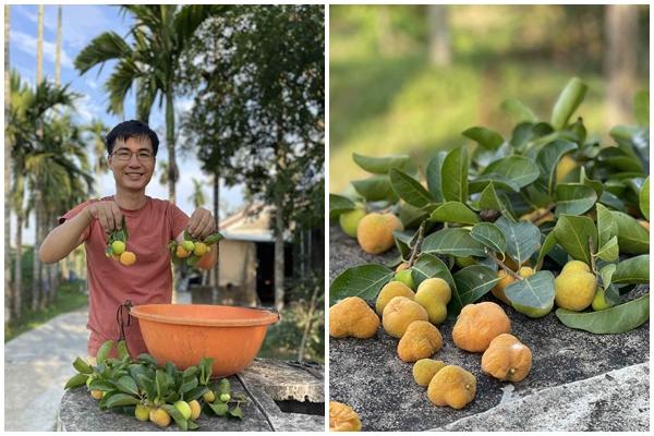 2 loại quả ít ngậm thuốc trừ sâu nhất chợ, cái số 1 nhiều người ăn-3