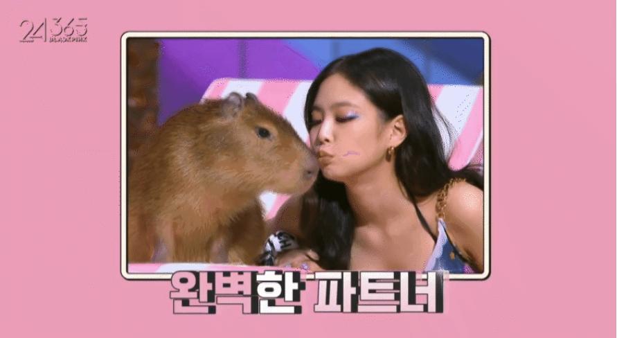 Điểm chung giữa Sơn Tùng và Jennie (BLACKPINK)-1