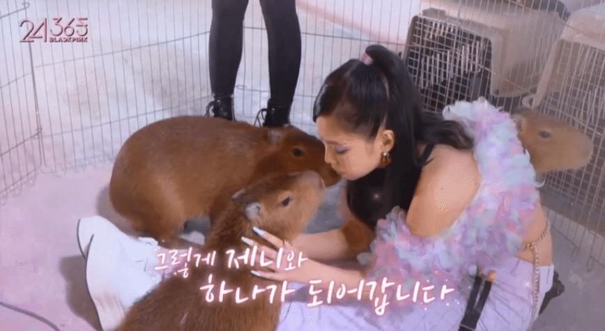 Điểm chung giữa Sơn Tùng và Jennie (BLACKPINK)-2