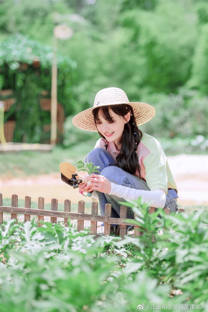 Trịnh Sảng trốn chủ nợ khắp nơi ở Mỹ, liên hệ với 2 bạn trai cũ chỉ để xin tiền?-1