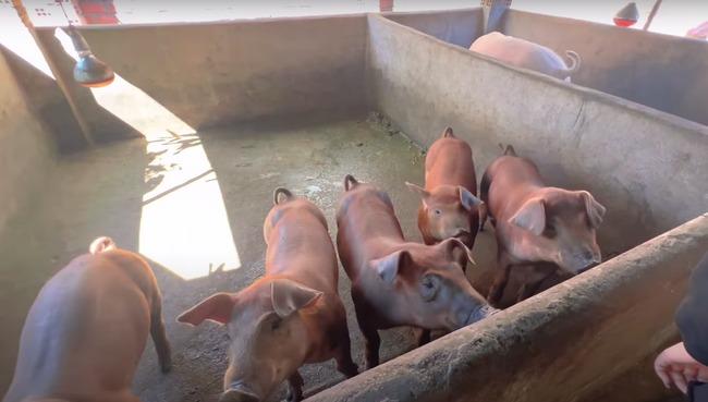 Ca sĩ Siu Black 11 năm chưa trả hết nợ, hiện sống trong căn nhà có những gì?-8