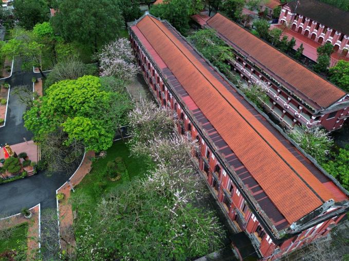 Ngôi trường THPT chuyên nhiều tuổi nhất Việt Nam, 7 lần có thí sinh lọt chung kết Olympia, kiến trúc đẹp như tranh vẽ-3