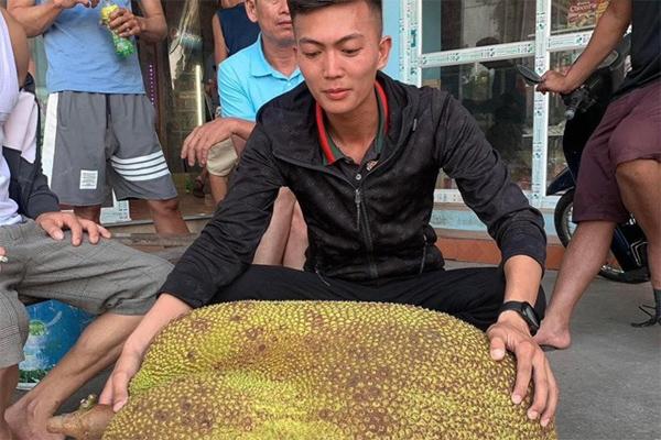 Người mẹ Hà Nội bỏ việc lương cao, về thung lũng hoang sơ xây nhà giữa vườn hồng-8