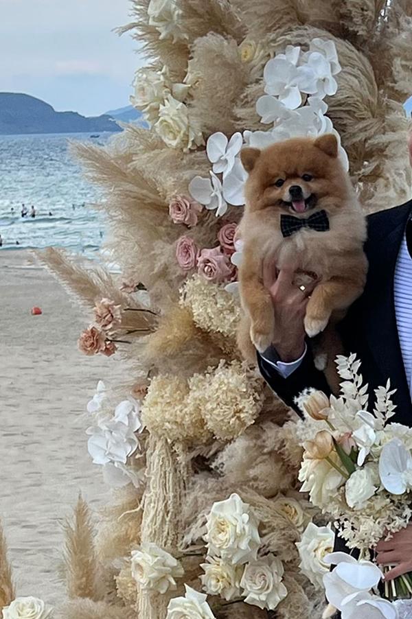 Hình ảnh hiếm hoi trong đám cưới đẹp như mơ của thủ môn Đặng Văn Lâm và vợ hot girl hơn tuổi-8