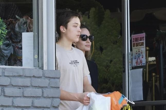 Mối quan hệ hiện tại của Brad Pitt và các con-3