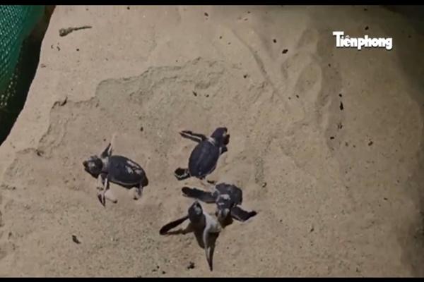 Xuất hiện biển vô cực’ ở Hải Phòng, khách mê mẩn, dậy từ 4h săn ảnh bình minh-7