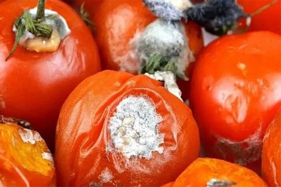 Cà chua thối đừng vội vứt đi, giữ lại sẽ có vô số công dụng