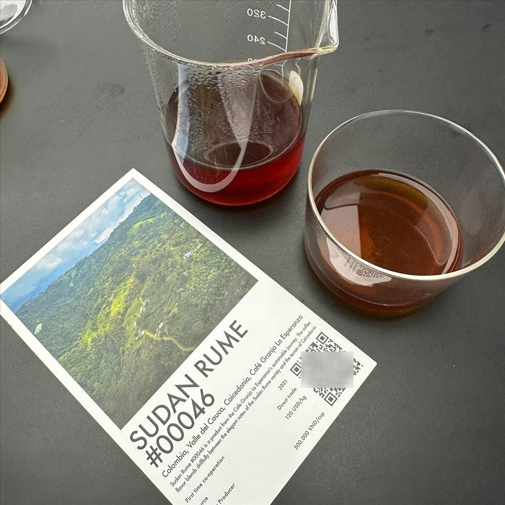 Uống cốc cà phê giá nửa triệu ở TPHCM, khách Hàn hài hước khen như ở Colombia-3