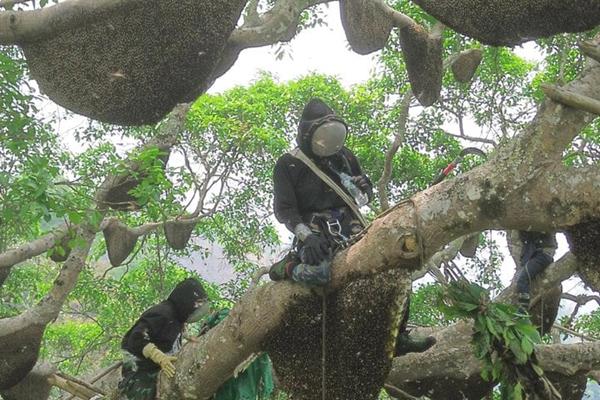 Nghề độc lạ kiếm bạc tỷ của người trẻ Việt-1