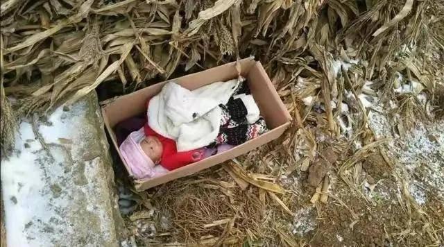 Sang tên nhà cho con nuôi, chẳng ngờ con tìm về ở với mẹ đẻ: Bà cụ tức giận đòi bồi thường 7 tỷ đồng-1