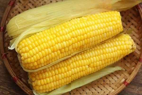 Những người không nên ăn quả ổi-2