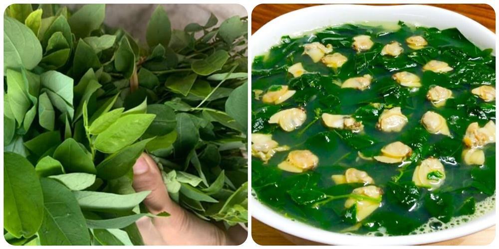 Có nên ăn rau ngót hàng ngày?-1