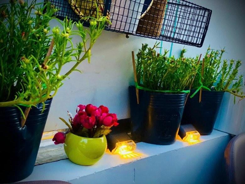 Vợ cũ MC Thành Trung khoe không gian sống nhiều cây xanh, nhiều điểm chung với nhà mẹ chồng Tây-7